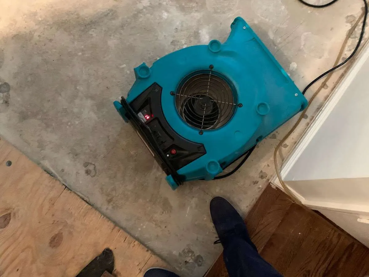 Air mover drying subfloor during Leak Detection & Repair in Nelson